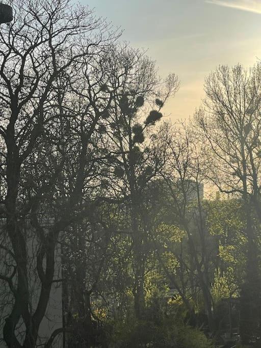 Stilvolles Augarten Refugium Wien Ngoại thất bức ảnh